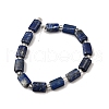 Natural Lapis Lazuli Beads Strands G-Z087-C01-3