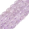 Natural Amethyst Beads Strands G-F790-E01-01-2