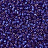 MIYUKI Delica Beads SEED-X0054-DB0696-2