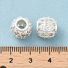 Rack Plating Brass Micro Pave Cubic Zirconia European Beads KK-F866-08S-4