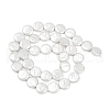 Electroplate Porcelain Imitation Pearl Beads Strands BSHE-Z009-02B-3