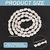 GOMAKERER 1 Strand Natural Cultured Freshwater Pearl Beads Strands PEAR-GO0001-15-2