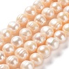 Natural Cultured Freshwater Pearl Beads Strands PEAR-E019-13-1