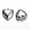 Tarnish Resistant Stainless Steel Pendants STAS-M226-02B-2
