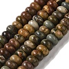 Natural Chiastolite Beads Strands G-Q161-A03-02-6