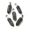 Natural Labradorite Pendants G-Z067-07P-24-2