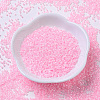 MIYUKI Delica Beads SEED-X0054-DB0244-1