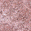 Glass Seed Beads SEED-S042-04A-04-3