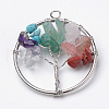 Natural & Synthetic Gemstone Pendants G-S271-23A-01-2