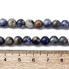 Natural Sodalite Beads Strands G-R015-B01-6mm-5