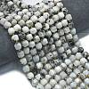 Natural Rainbow Moonstone Beads Strands G-K389-A75-01-1