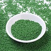 MIYUKI Round Rocailles Beads SEED-G007-RR0411-2