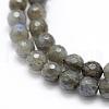 Natural Labradorite Beads Strands G-P322-30-6mm-3