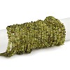 Natural Peridot Beads Strands G-P332-48-02-1