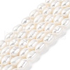 Natural Cultured Freshwater Pearl Beads Strands PEAR-I007-01N-01-2