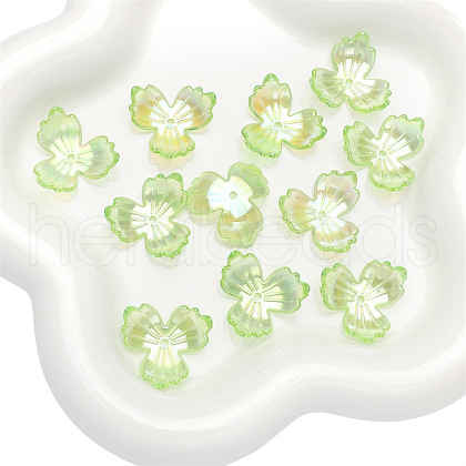 30Pcs Transparent Acrylic Beads PW-WGDDB1F-05-1