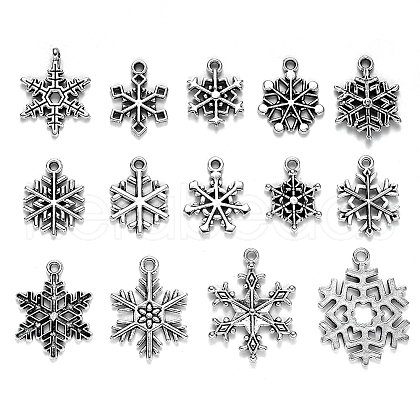 Tibetan Style Alloy Big Pendants TIBE-CJ0001-04-1