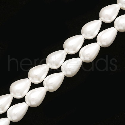 Shell Pearl Beads Strands PEAR-T005-03-1