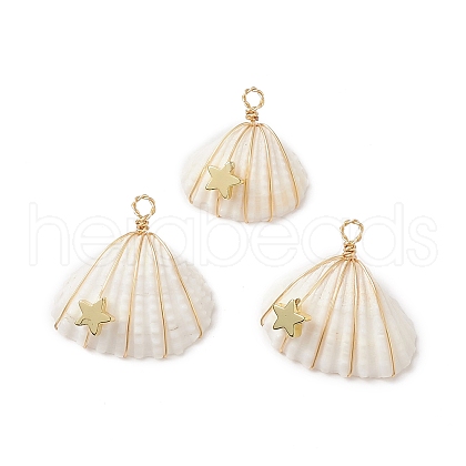 Natural Spiral Shell Copper Wire Wrapped Pendants PALLOY-TA00016-1