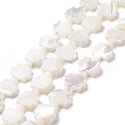 Natural Trochid Shell Beads Strands SSHEL-G023-09B-1