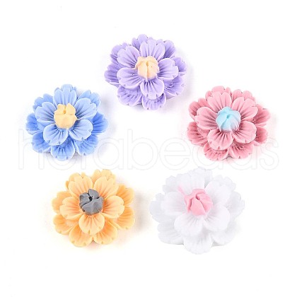 Resin Decoden Cabochons CRES-T025-04M-1