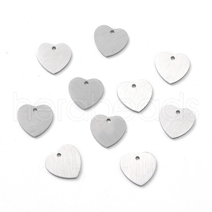 304 Stainless Steel Pendants STAS-F271-06A-P-1