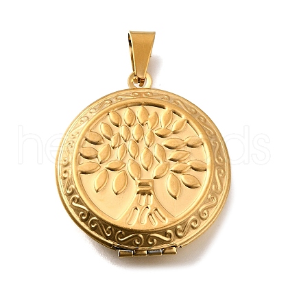 316 Stainless Steel Locket Pendants STAS-O132-03G-1