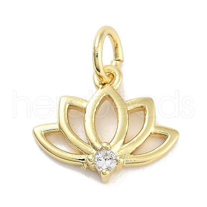 Rack Plating Brass Clear Cubic Zirconia Pendants KK-M293-11G-1
