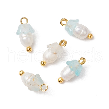 Flower Acrylic Charms PALLOY-JF03588-09-1