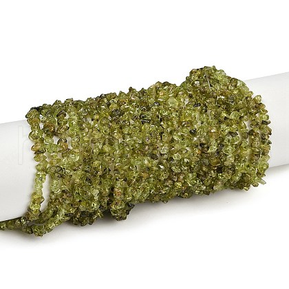 Natural Peridot Beads Strands G-P332-48-02-1
