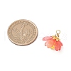Transparent Acrylic Pendants PALLOY-MZ00738-2