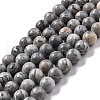 Natural Map Stone/Picasso Stone/Picasso Jasper Round Beads Strands G-E329-10mm-47-1