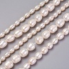 Natural Cultured Freshwater Pearl Beads Strands PEAR-L021-21-01A-1