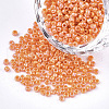 Opaque Glass Seed Beads SEED-S023-01A-10-1