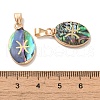Constellation Natural Paua Shell Pendants KK-P265-01G-06-3