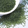 MIYUKI Round Rocailles Beads SEED-G007-RR0350-1