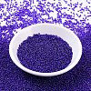 MIYUKI Round Rocailles Beads X-SEED-G007-RR0020-2