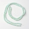 Dyed Natural Freshwater Shell Rondelle Bead Strands X-BSHE-O016-19B-2