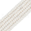 Electroplated Shell Pearl Beads Strands BSHE-Z009-11-2