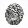 Natural Black Silk Stone/Netstone Cabochons G-R004-15A-2
