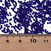 15/0 Transparent Czech Glass Seed Beads SEED-N004-004-15-6
