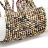 Natural Alashan Agate Beads Strands G-C181-B05-02-2