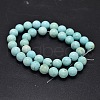 Natural Howlite Beads Strands TURQ-P027-17-8mm-2