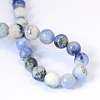 Natural Sodalite Round Bead Strands G-E334-8mm-08-2