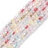 Handmade Lampwork Beads Strands LAMP-R020-01B-1