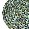 Natural African Turquoise(Jasper) Beads Strands G-P575-B20-4x2mm-3