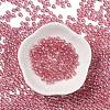 Glass Seed Beads SEED-H002-C-A042-2