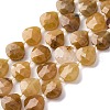 Natural Red Aventurine Beads Strands G-P570-E07-02-2