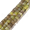 Natural Agate Beads Strands G-B079-F01-01-2