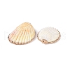 Shell Pendants SHEL-P075-03-3